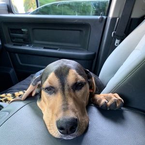 Meet your Posher, Rico